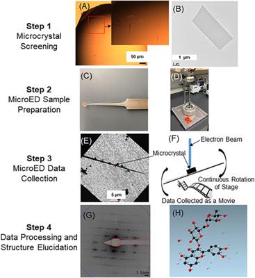 Recent Developments Toward Integrated Metabolomics Technologies (UHPLC-MS-SPE-NMR and MicroED) for Higher-Throughput Confident Metabolite Identifications